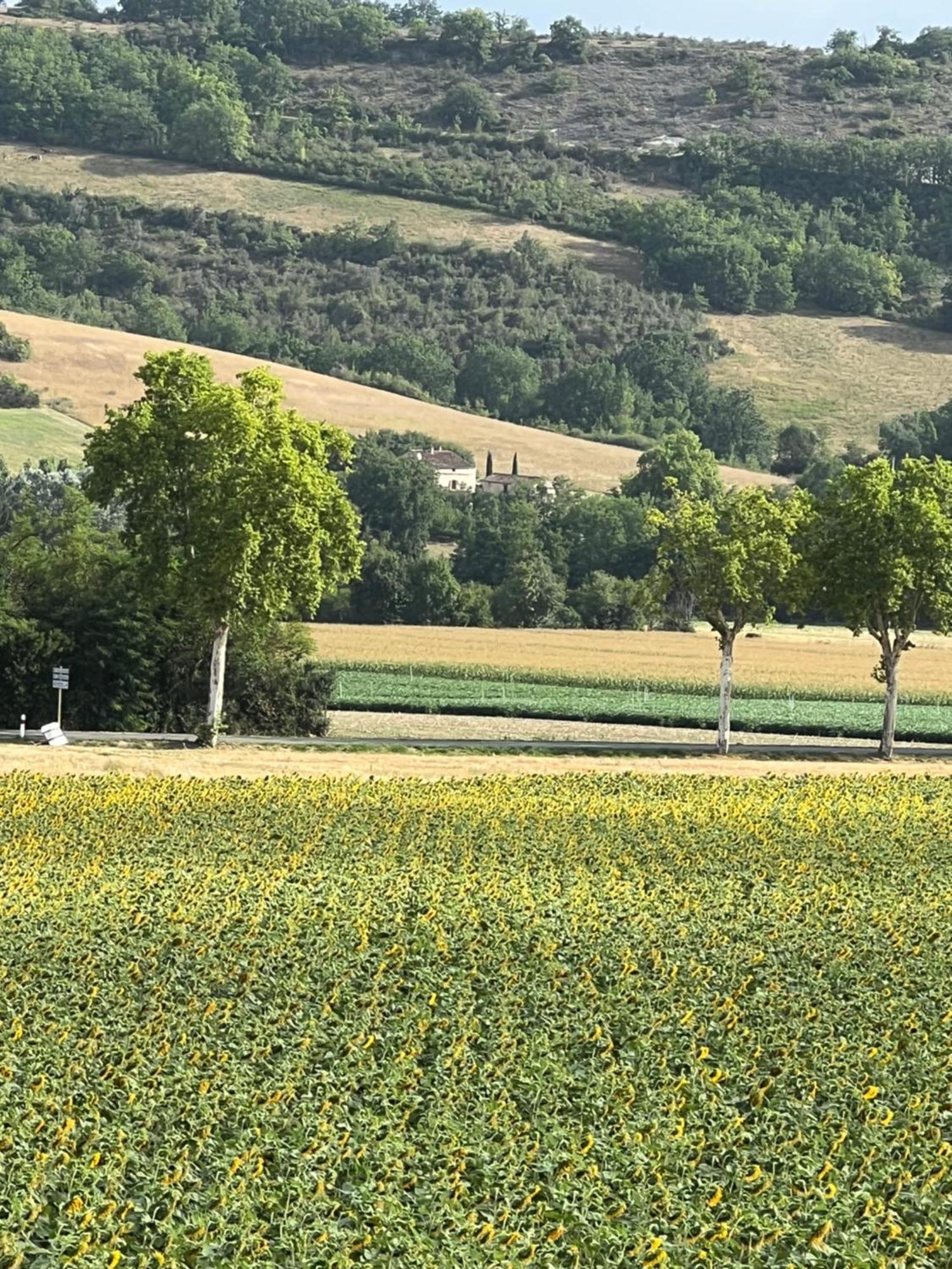 Vindrac-Alayrac La Bastide De La Bogne Bed & Breakfast エクステリア 写真